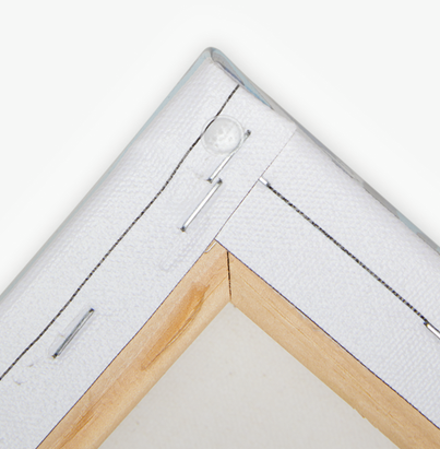 Calyptra - 16 x 12 Ready to Rhinestone Canvas (Canvas Only)